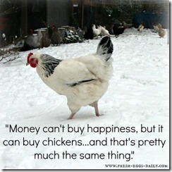 chickens buy happiness